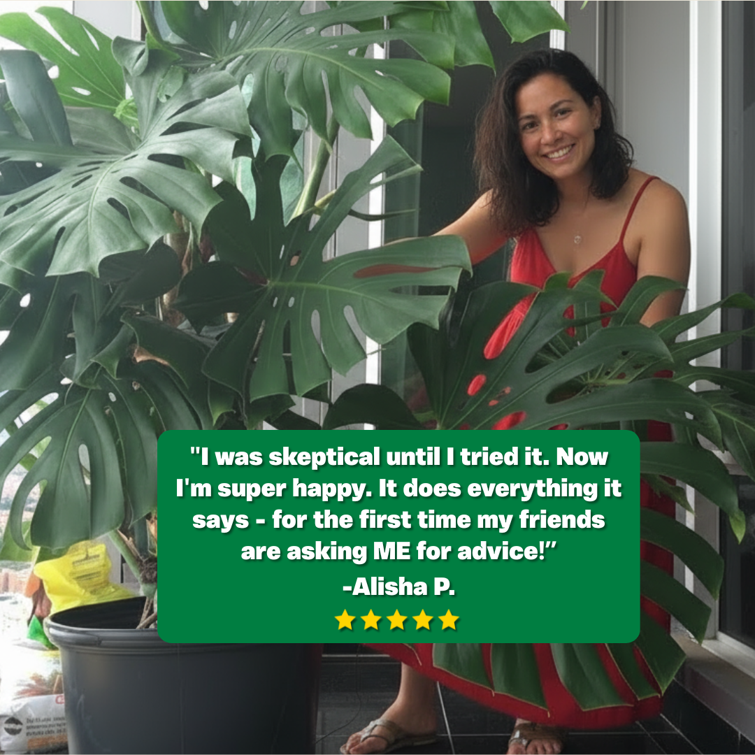 Soil Revival Formula